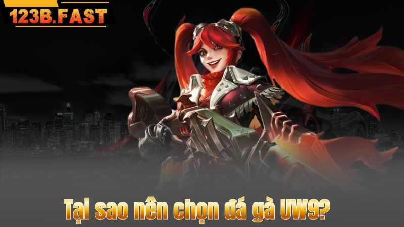 Tại sao nên chọn đá gà UW9?